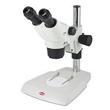 Stereo Microscope