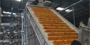 Vegetable Dehydration Plant