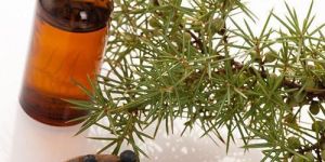 Juniper Berry Oil
