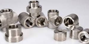 Hastelloy Forged Fitting
