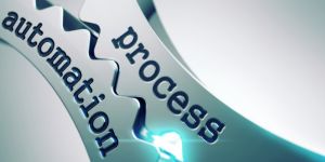 Business Process System Support Services