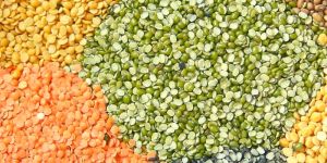 Organic Pulses