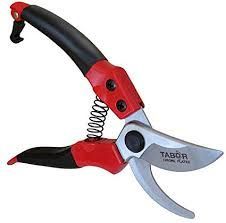 Pruning Shear