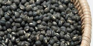 Black Urad Dal