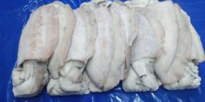 Frozen Whole Cuttle Fish