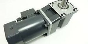 Shaft Induction Motor