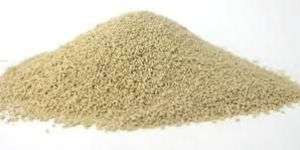 Dry Yeast