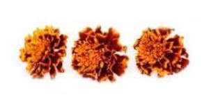 Dry Marigold Flower Petals