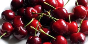 Fresh Cherry