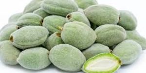 Green Almonds