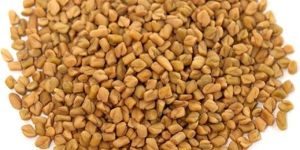 Fenugreek Seeds