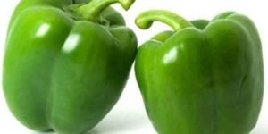 Fresh Green Capsicum
