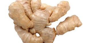 Fresh Organic Ginger