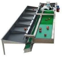 Fruit Grading Machine