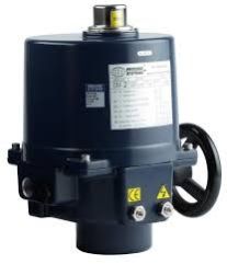 Electrical Actuator