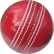 Leather Cricket Ball