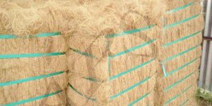 Coconut Coir Fiber