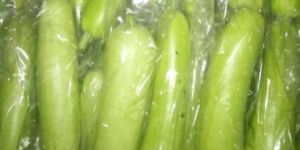 Fresh Bottle Gourd