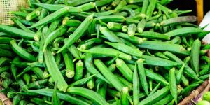 Fresh Okra