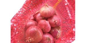 Fresh Red Onion