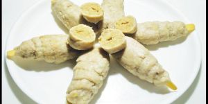 Raw Frozen Soya Chaap