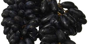 Fresh Black Grapes