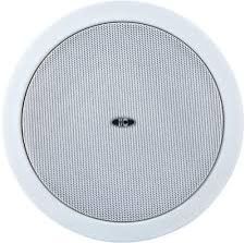 Ceiling Mount Speaker
