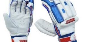 Cricket Gloves