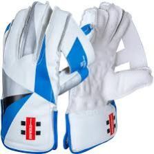 Wicket Keeping Gloves