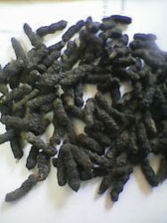 Black Long Pepper