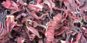 Dried Hibiscus Flowers