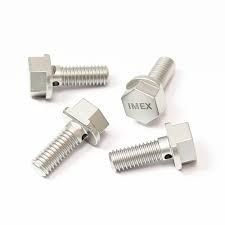 Fixation Bolt