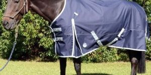Horse Rugs