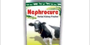 Nephrocure Herbal Kidney Fresher