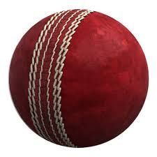Leather Cricket Ball
