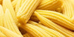 Fresh Baby Corn