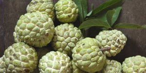 Custard Apple