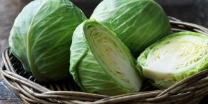 Fresh Cabbage