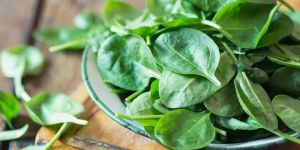 Fresh Spinach