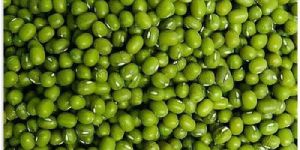 Green Gram