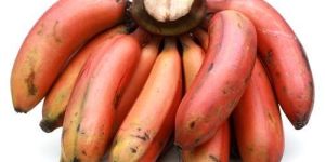 Red Banana