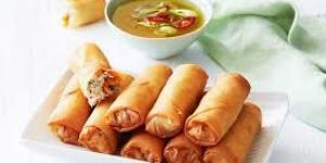 Spring Roll