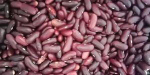 Organic Red Pencil Rajma