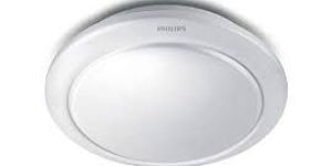 Ceiling Light