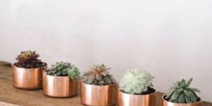 Copper Planter without Stand