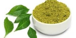 Curry Leaf Powder