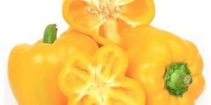 Yellow Capsicum