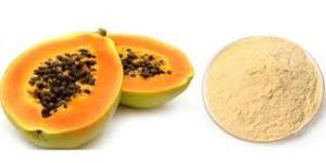 Dried Papaya Powder