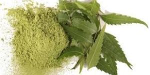 Neem Powder