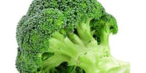 Fresh Broccoli